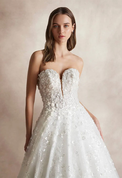 close-up front view of Pronovias Nicole Milano Aiez wedding gown