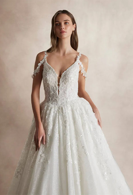 close-up front view of Pronovias Nicole Milano Ayma wedding gown