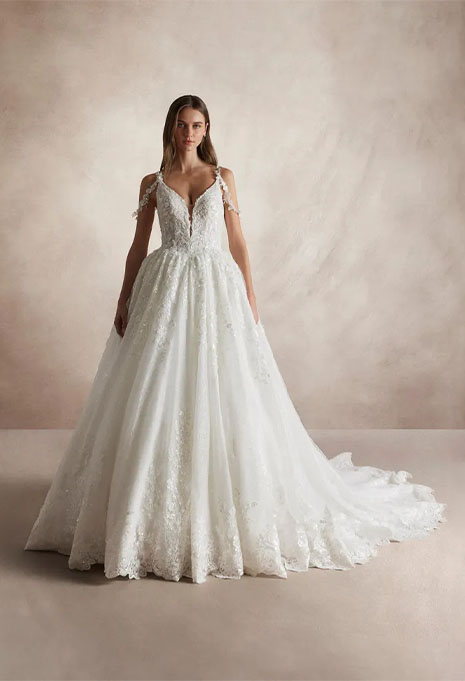 Pronovias Nicole Milano Ayma wedding gown front view