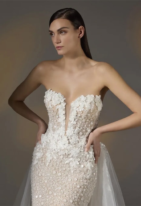front view close-up of Pronovias Privée Amya wedding gown