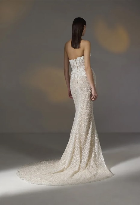 back view of Pronovias Privée Amya wedding gown