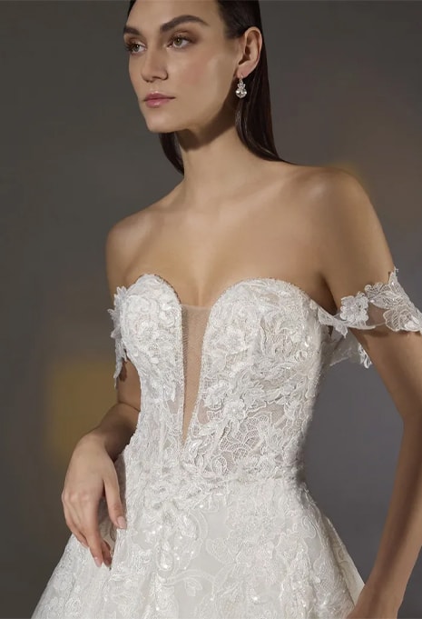 close-up front view of Pronovias Privée Anett wedding gown