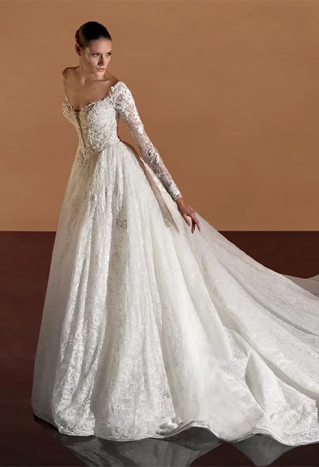 Pronovias Privée Anvi wedding gown