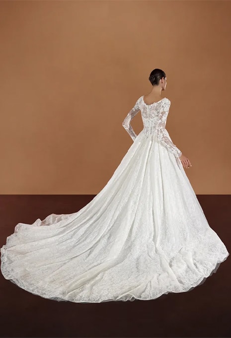 back view of Pronovias Privée Anvi wedding gown