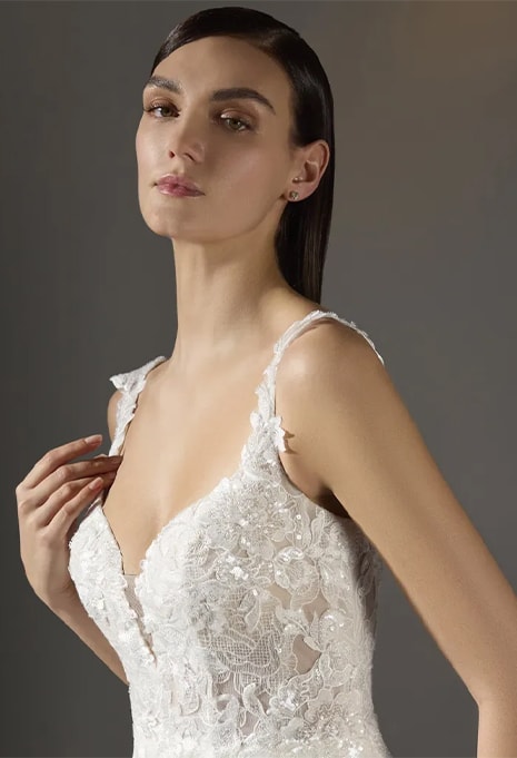 front view of Pronovias Privée Cherish wedding gown close-up