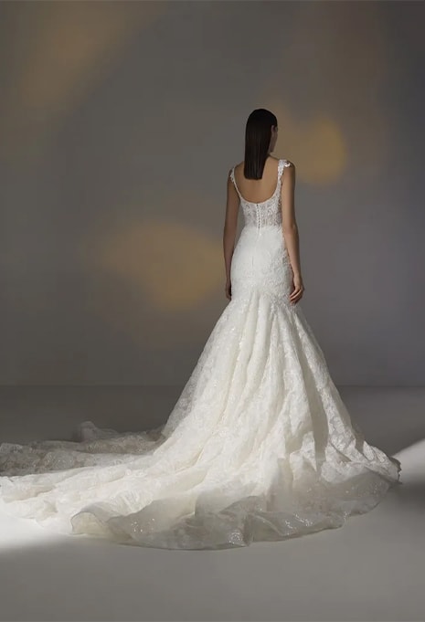 back view of Pronovias Privée Cherish wedding gown