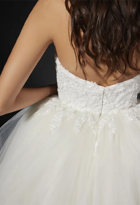 close-up back view of Pronovias Vera Wang Cyren weddding gown