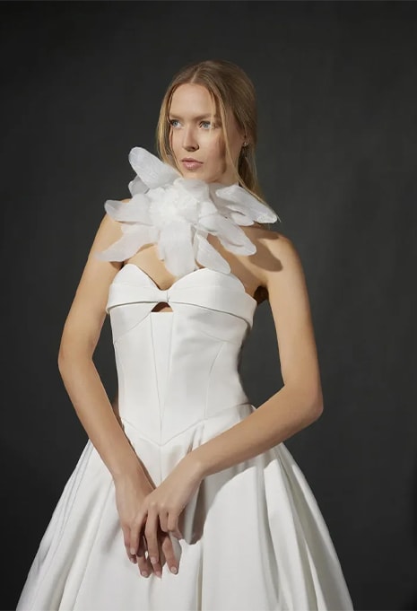 close-up front view Pronovias Vera Wang Emile wedding gown