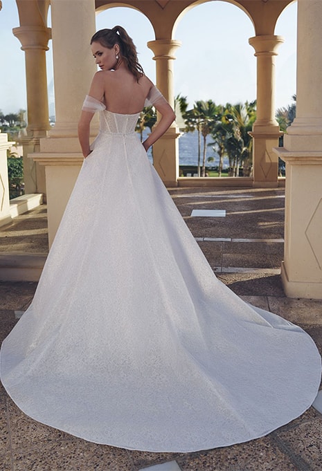 back view of Blue by Enzoani Starr wedding gown