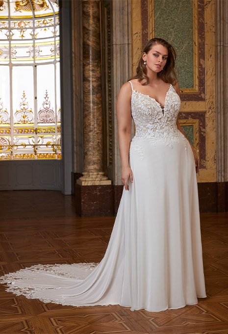 bride wearing portrait bridal wedding gown