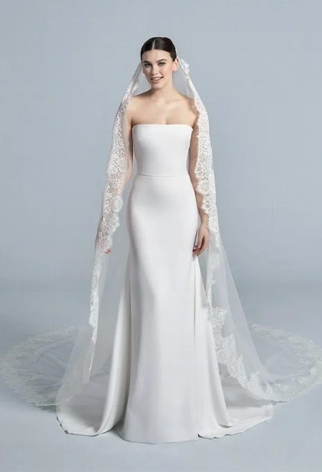 front view of Pronovias V-2033CC Veil