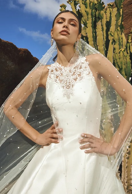 Pronovias V-LA06 veil
