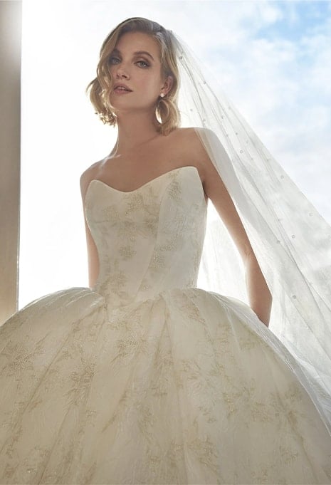 close-up front view of Pronovias Almondie wedding gown