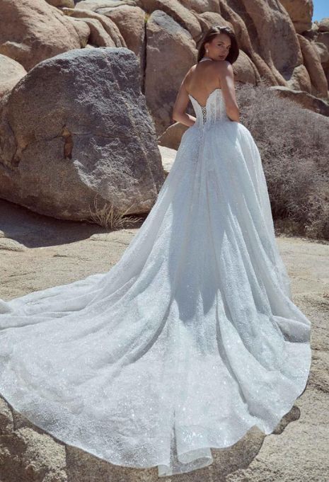 back view of Calla Blanche Marielle wedding gown