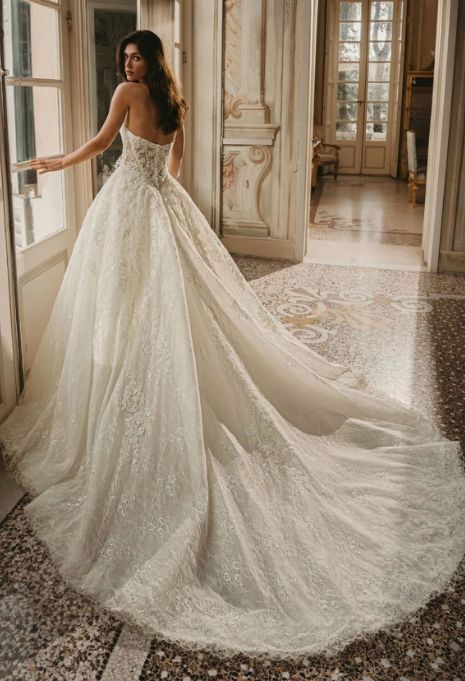 Model wearing the Enzoani West gown from the back